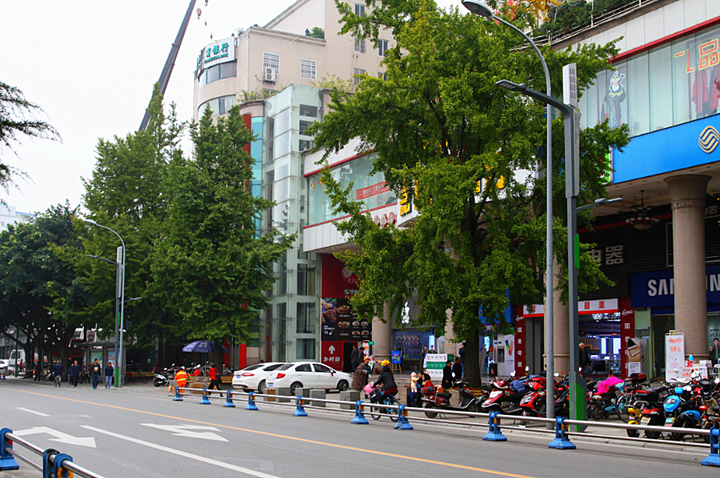 吃瓜91
路灯效果图720